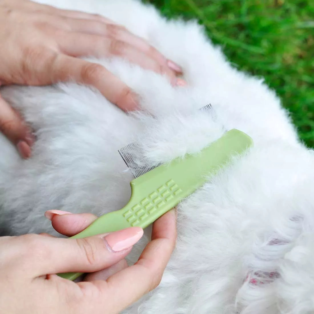 Flea Comb