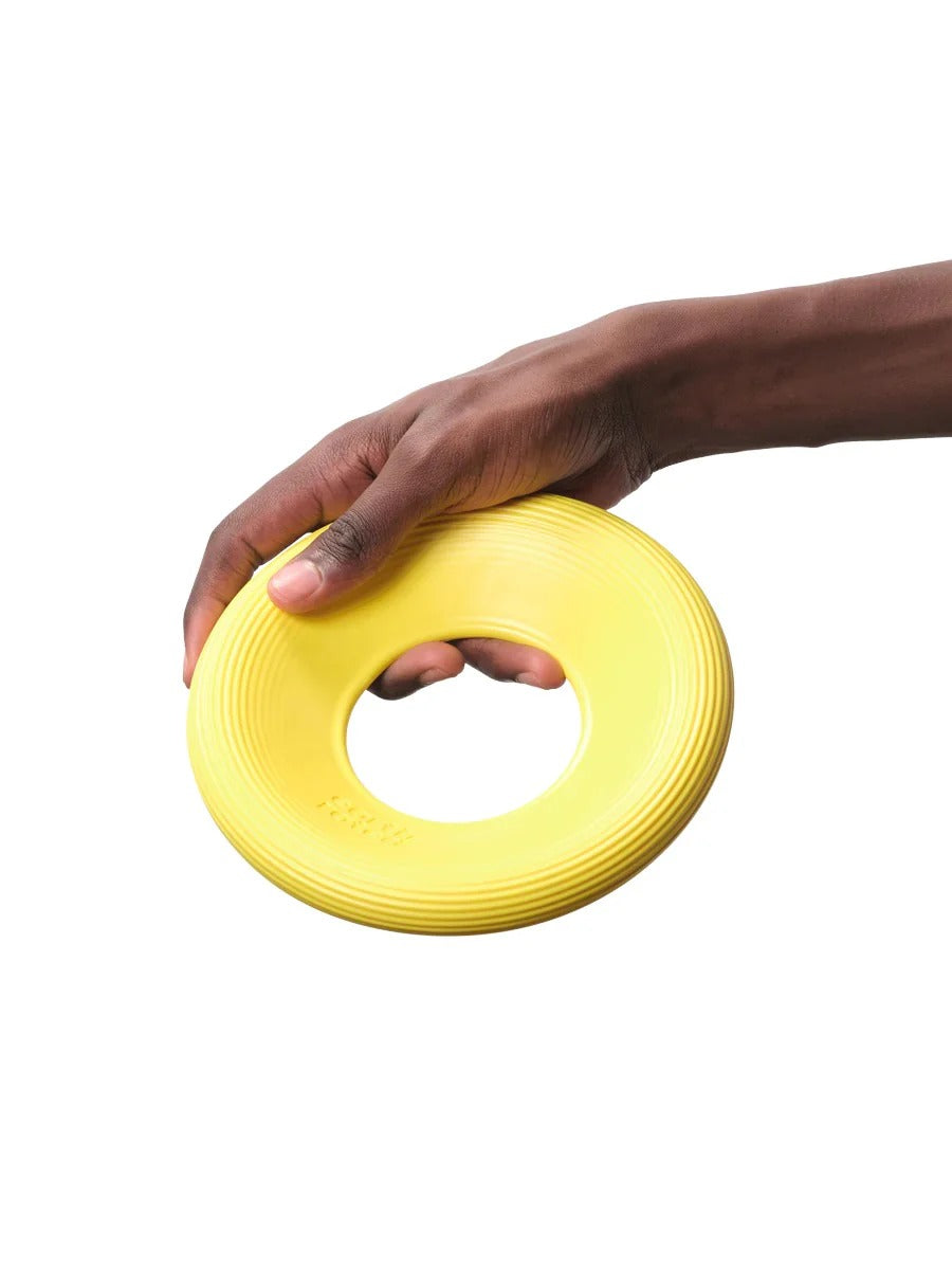 Fly Toy