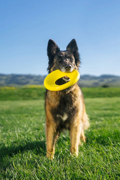 Fly Toy