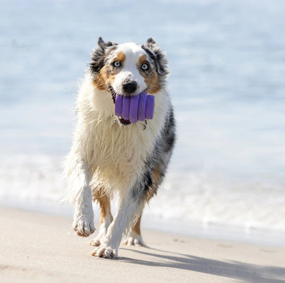 Hive Chew Toy
