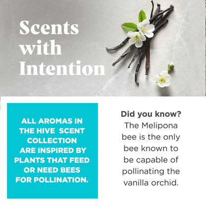 Hive Chew Toy