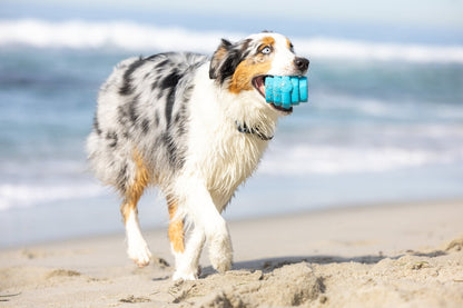 Hive Chew Toy