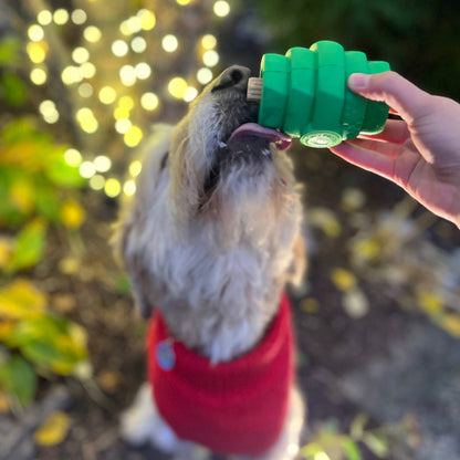 Hive Chew Toy