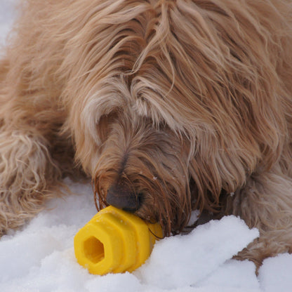Hive Chew Toy