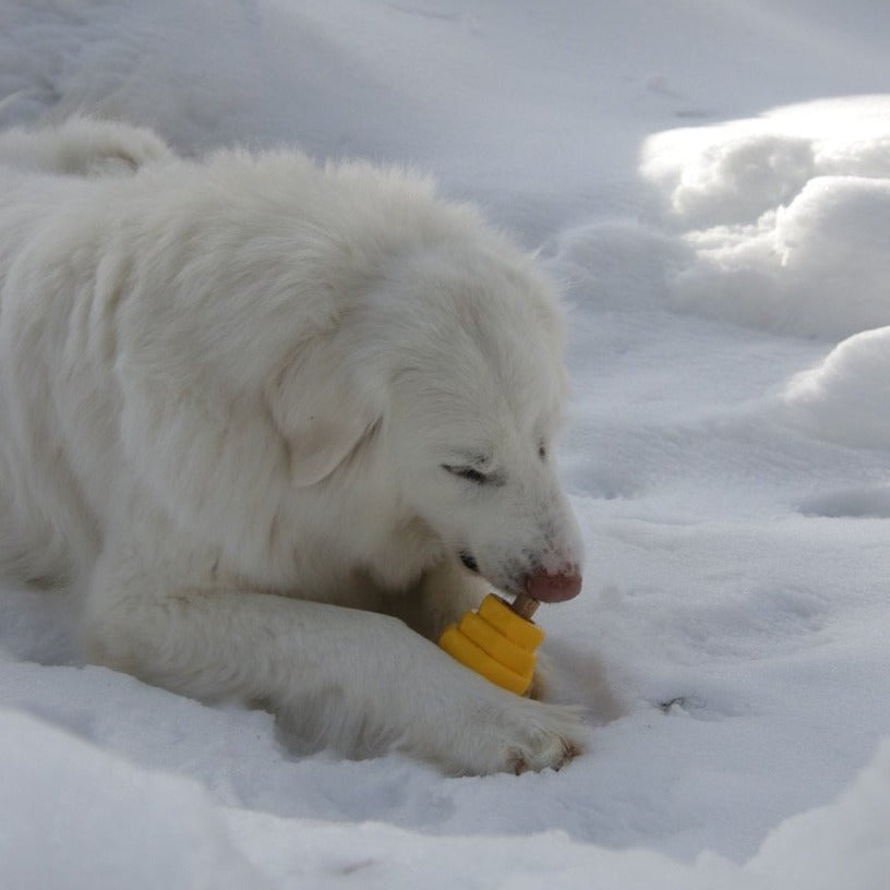 Hive Chew Toy