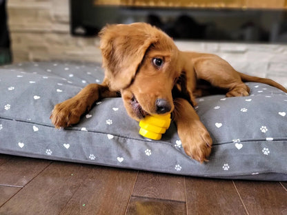 Hive Chew Toy