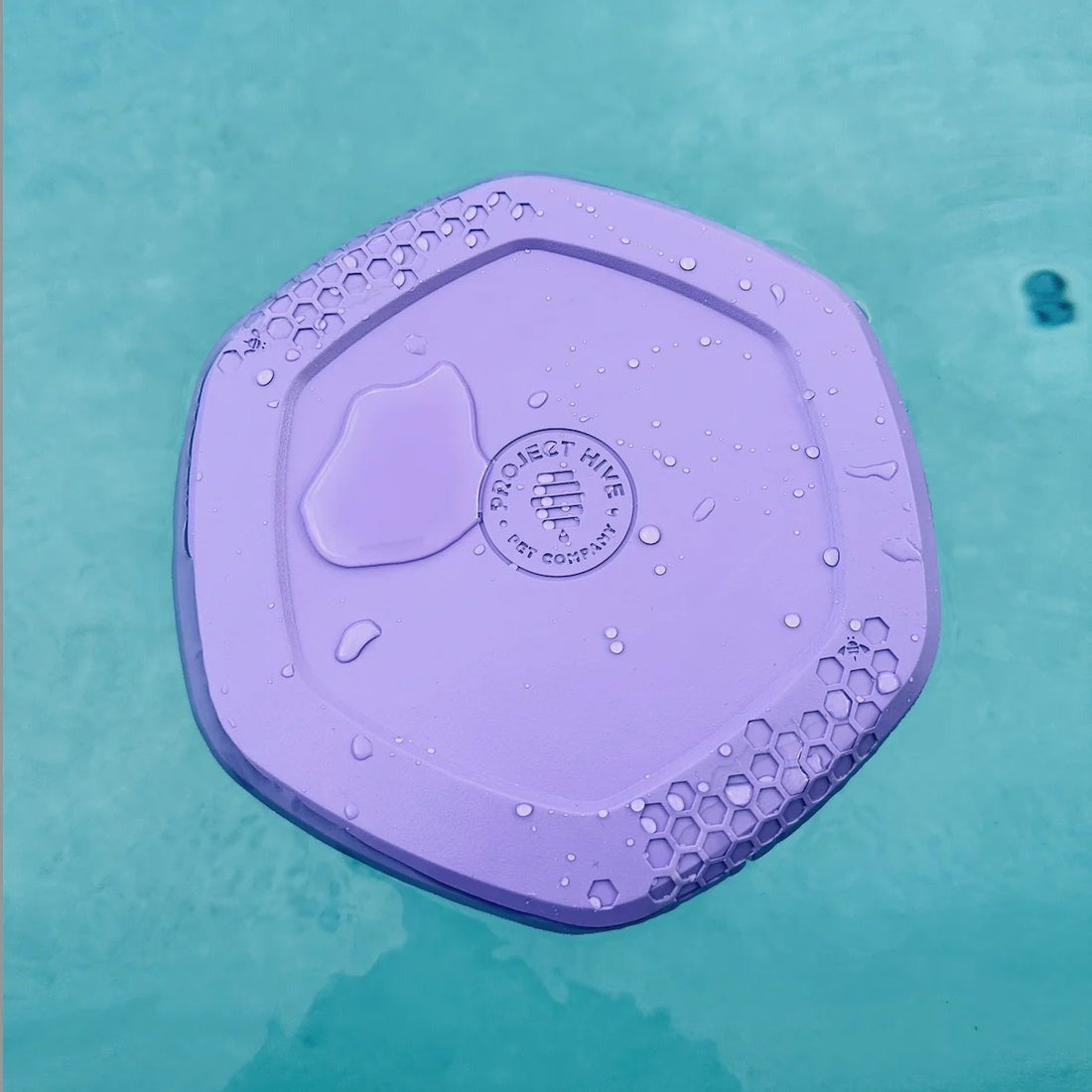 Hive Disc & Lick Mat
