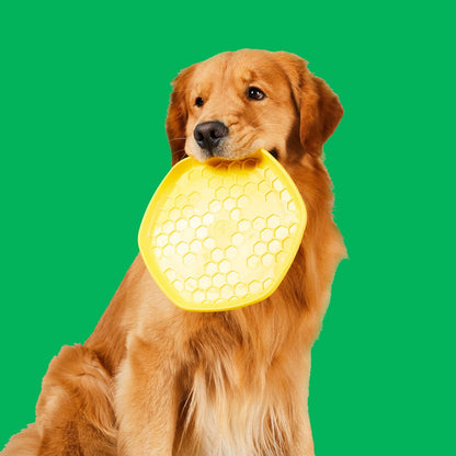 Hive Disc & Lick Mat