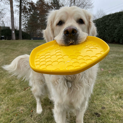 Hive Disc & Lick Mat