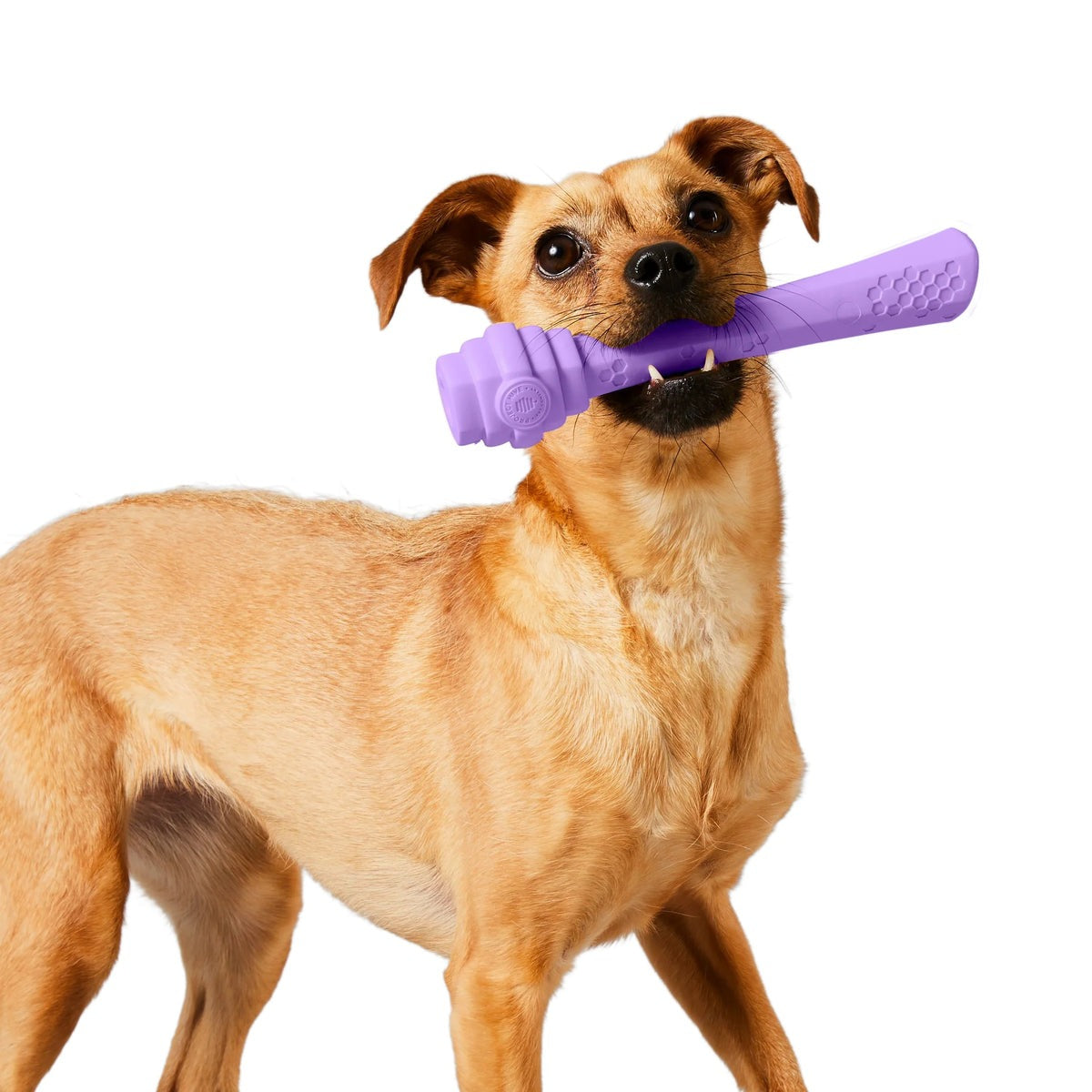 Hive Fetch Stick