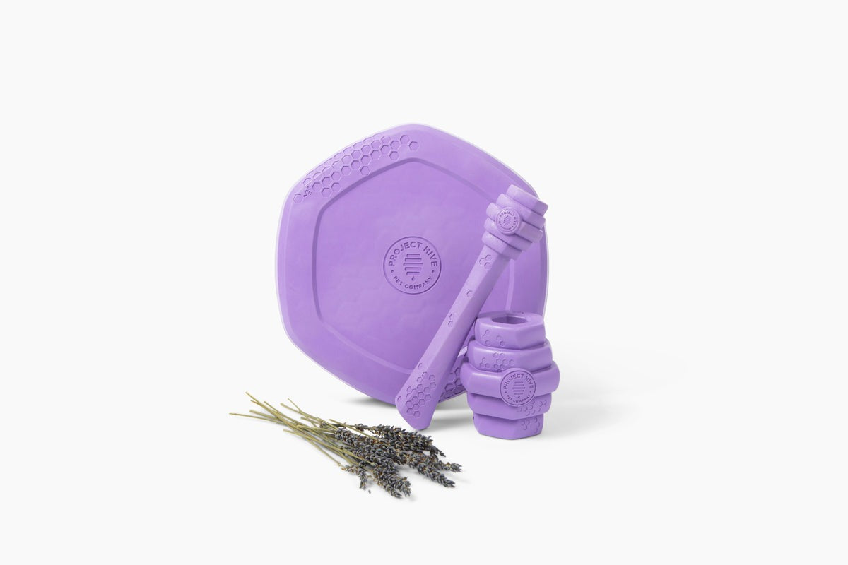 Hive Fetch Stick