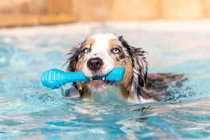 Hive Fetch Stick