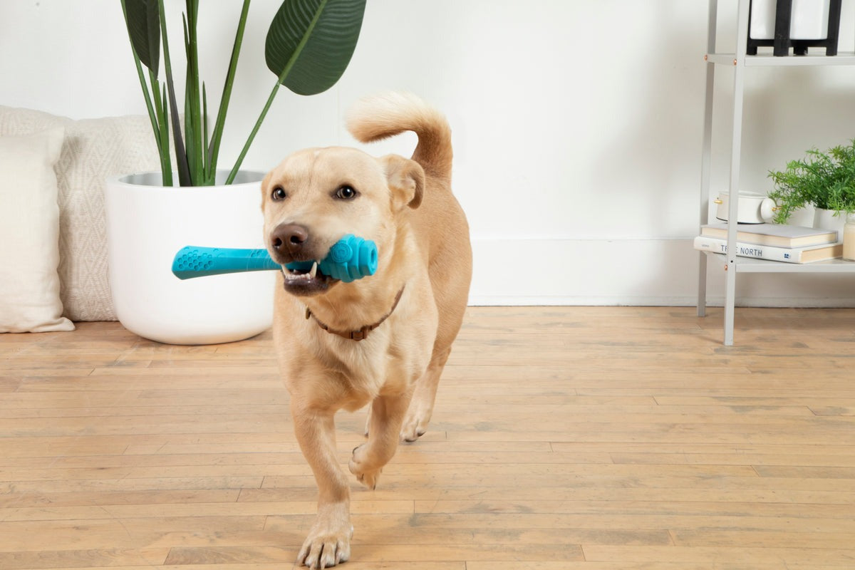 Hive Fetch Stick