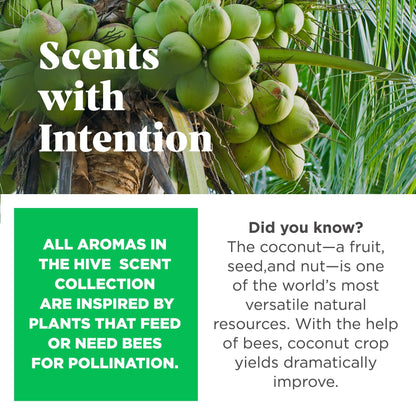 Hive Fetch Stick