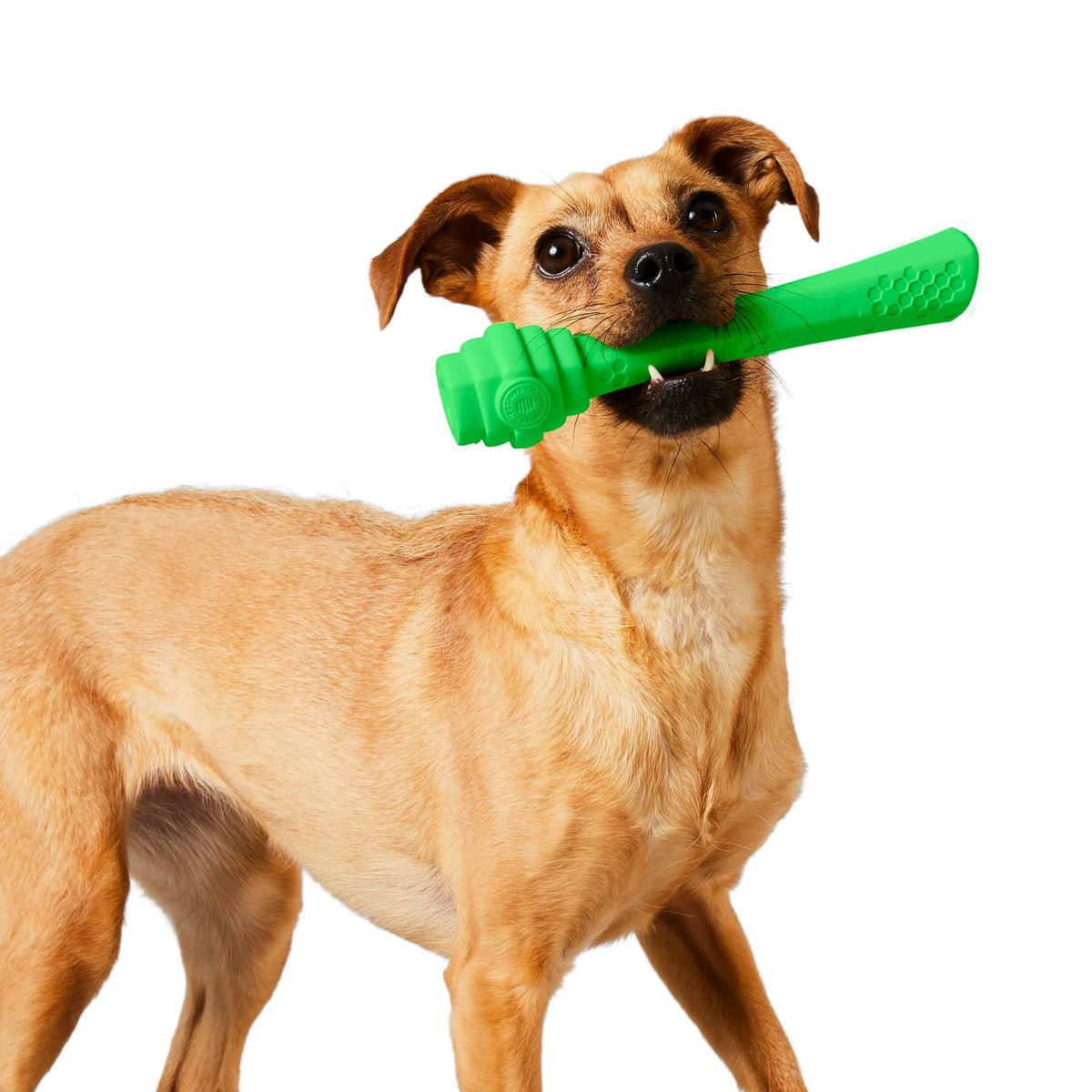 Hive Fetch Stick