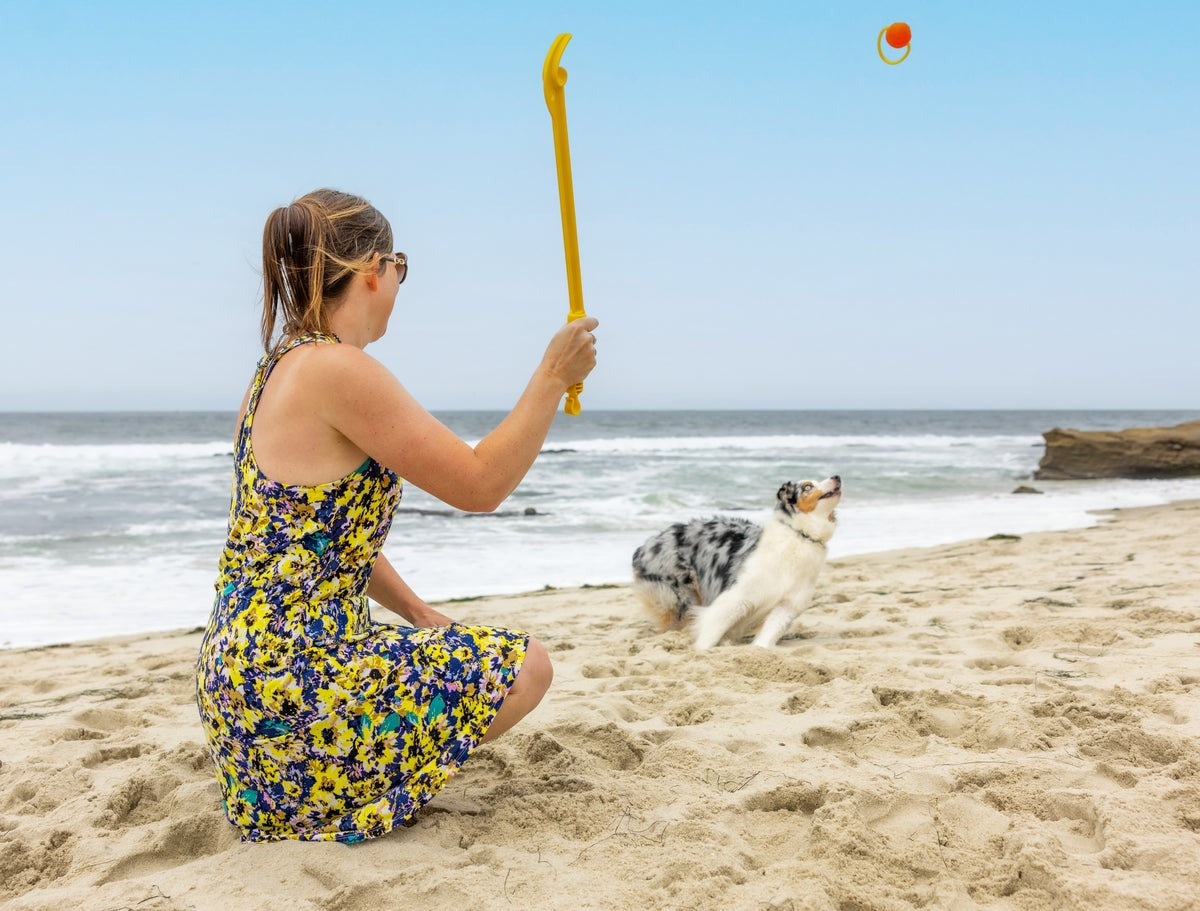 Hive Zoomer Dog Toy Launcher & Looped Ball