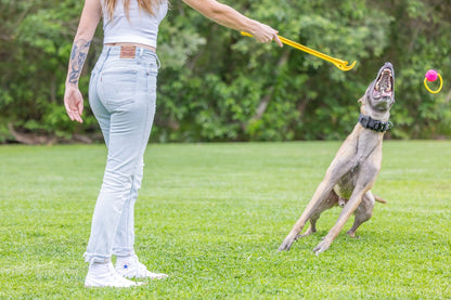 Hive Zoomer Dog Toy Launcher & Looped Ball