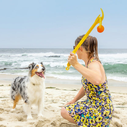 Hive Zoomer Dog Toy Launcher & Looped Ball