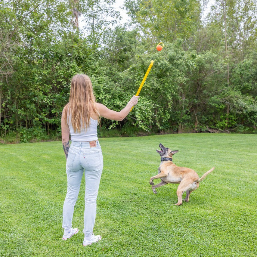 Hive Zoomer Dog Toy Launcher & Looped Ball