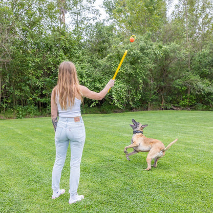 Hive Zoomer Dog Toy Launcher & Looped Ball