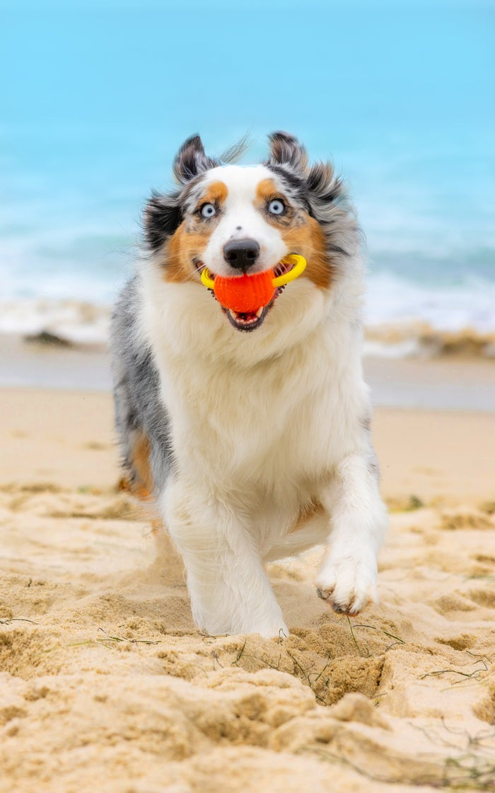 Looped Ball