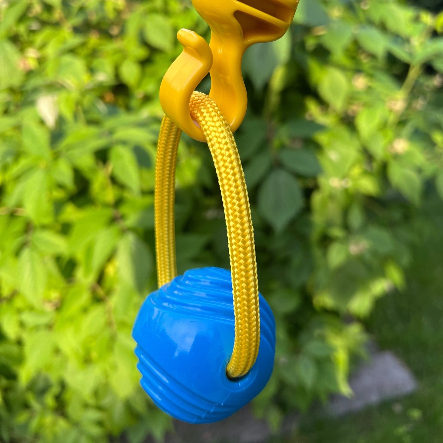 Looped Ball