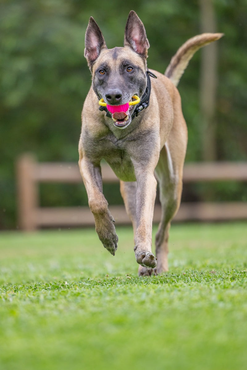 Looped Ball