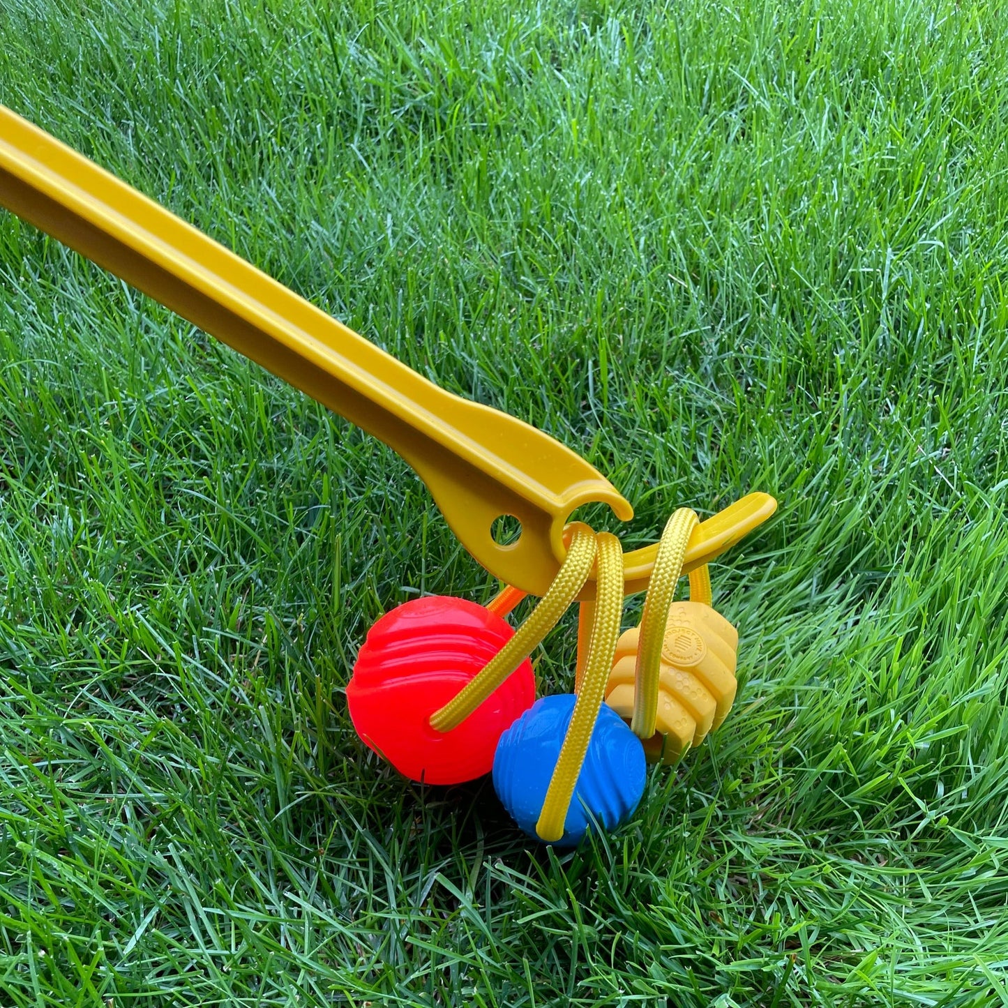 Looped Hive Toy