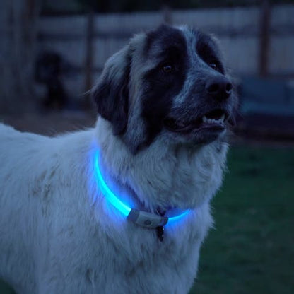 NiteHowl Max Rechargeable LED Safety Necklace - Disc-O Select