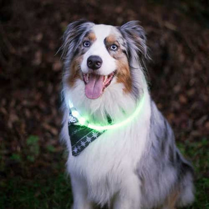 NiteHowl Rechargeable LED Safety Necklace - Disc-O Select