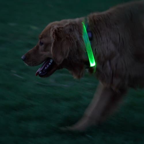 NiteHowl Max Rechargeable LED Safety Necklace - Disc-O Select