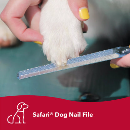 Nail File