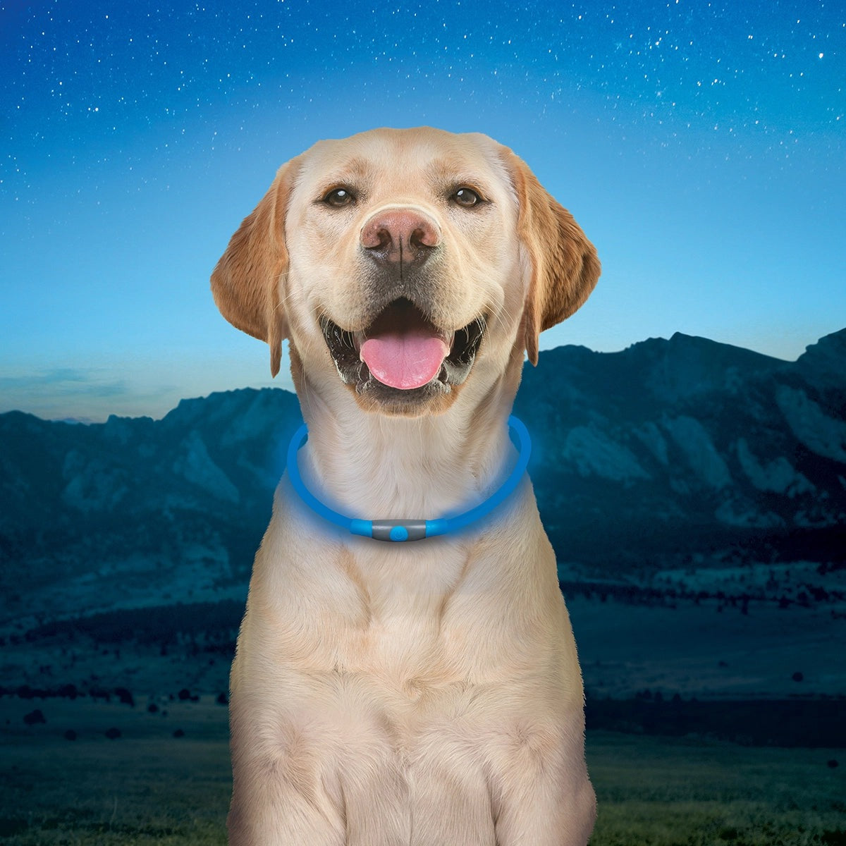 NiteHowl Rechargeable LED Safety Necklace