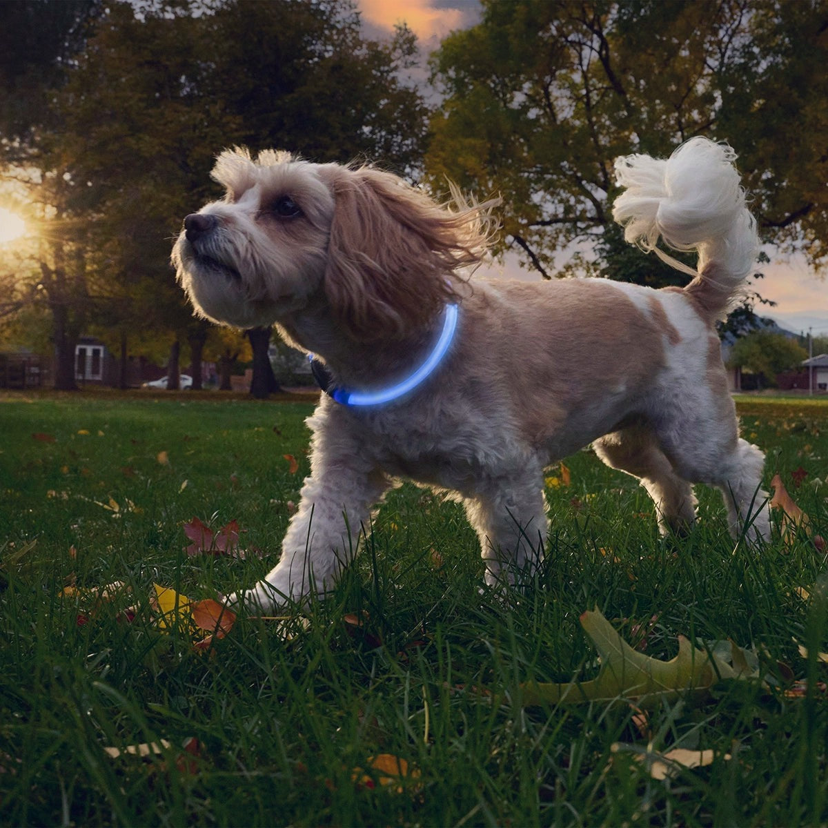 NiteHowl Rechargeable LED Safety Necklace