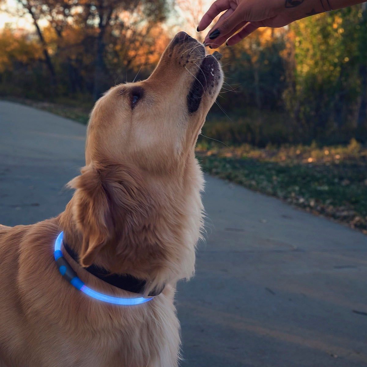 NiteHowl Rechargeable LED Safety Necklace