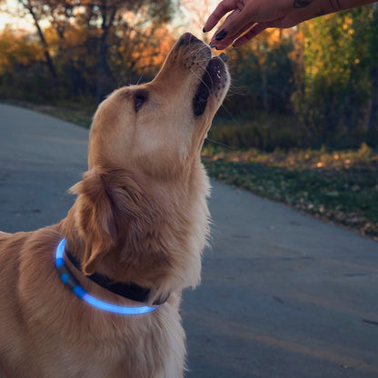 NiteHowl Rechargeable LED Safety Necklace