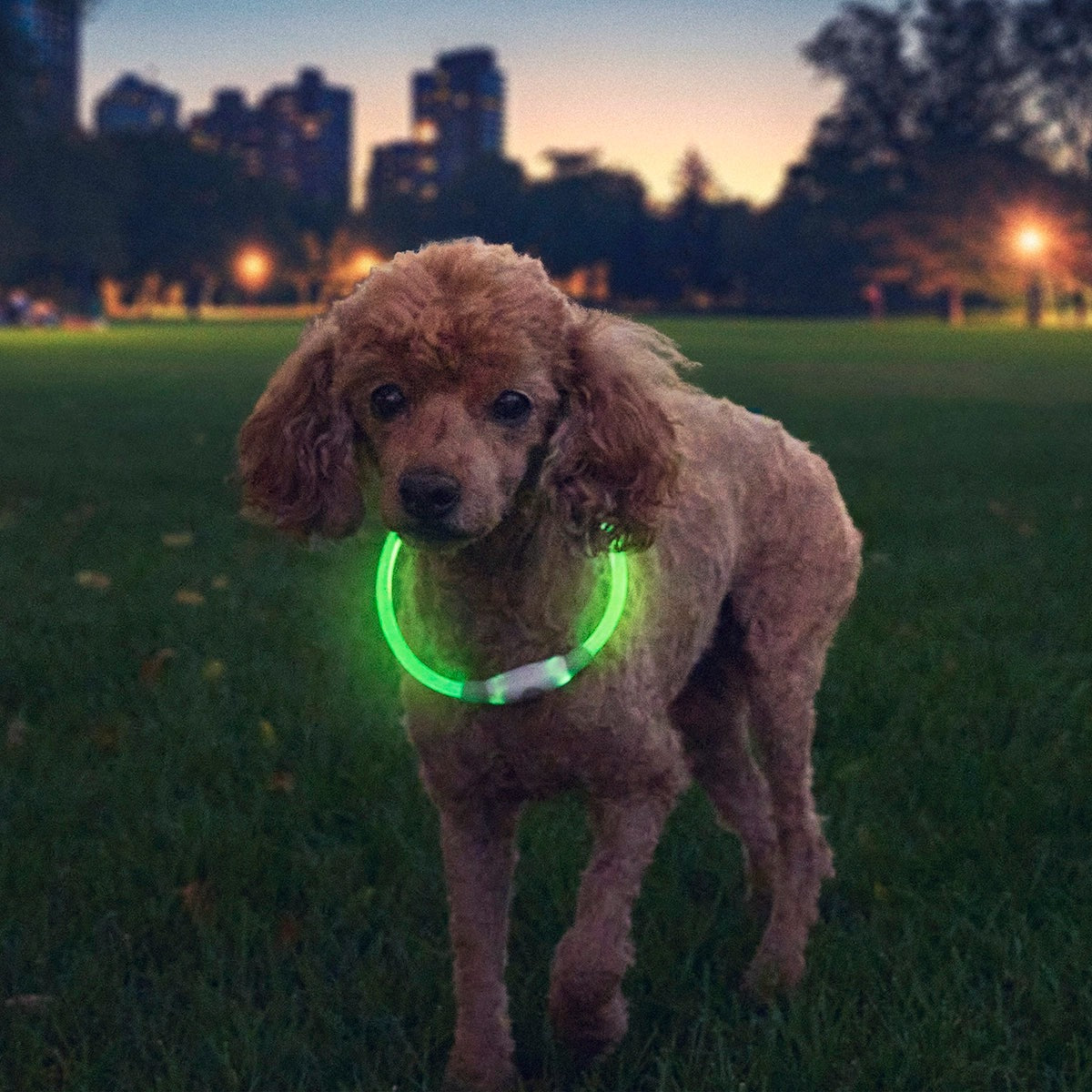 NiteHowl Rechargeable LED Safety Necklace
