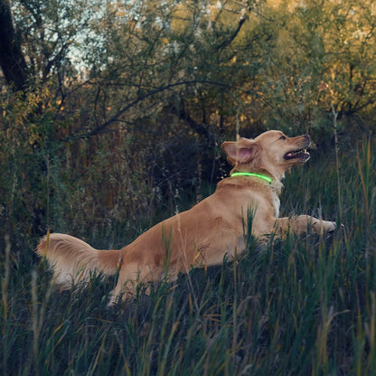 NiteHowl Rechargeable LED Safety Necklace