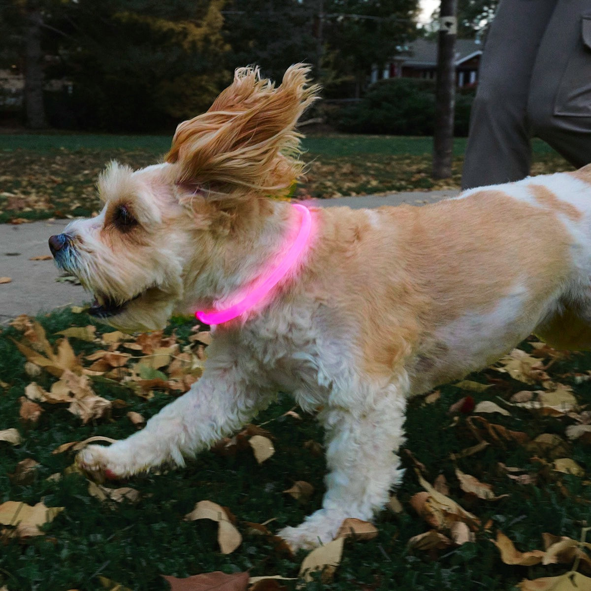 NiteHowl Rechargeable LED Safety Necklace