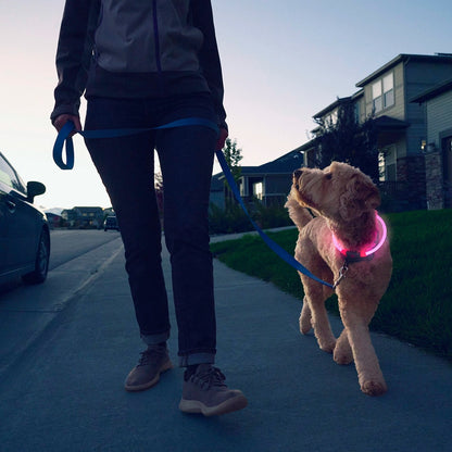 NiteHowl Rechargeable LED Safety Necklace