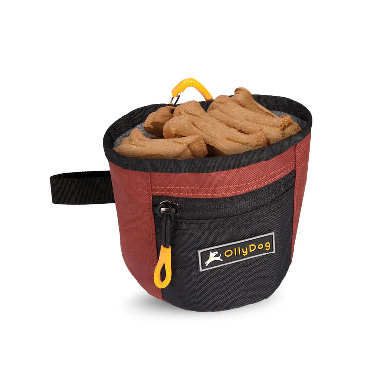 Goodie Treat Bag