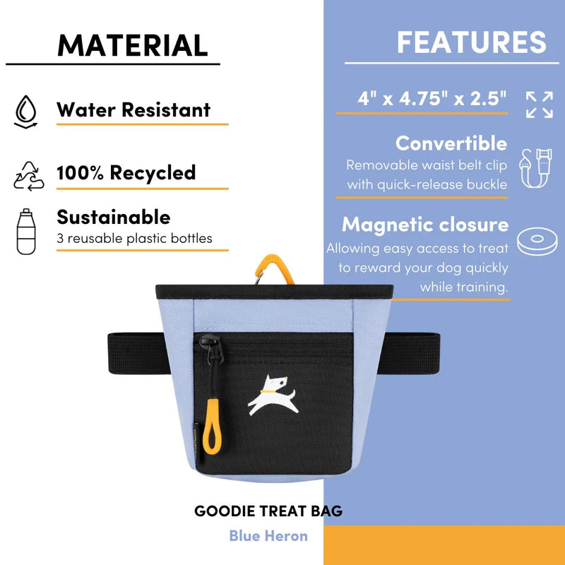 Goodie Treat Bag