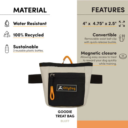 Goodie Treat Bag