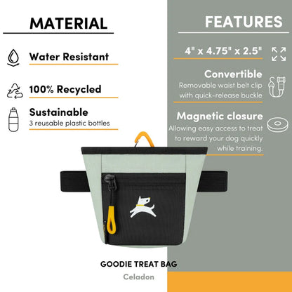 Goodie Treat Bag