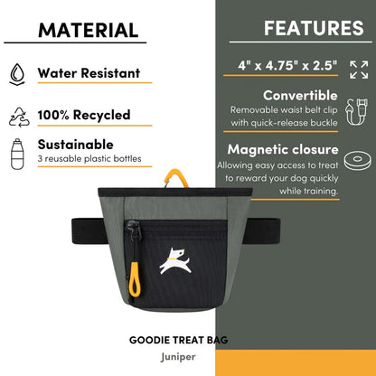 Goodie Treat Bag