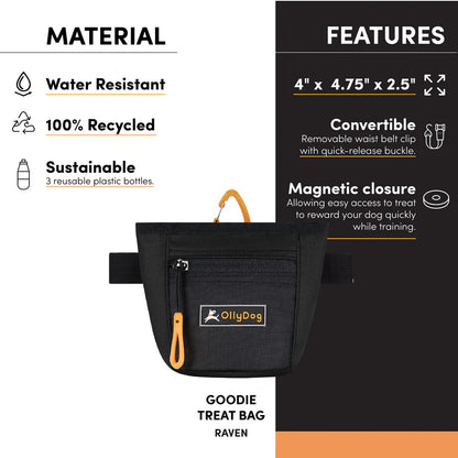 Goodie Treat Bag