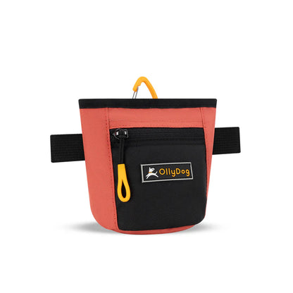 Goodie Treat Bag
