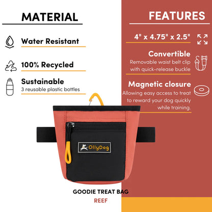 Goodie Treat Bag