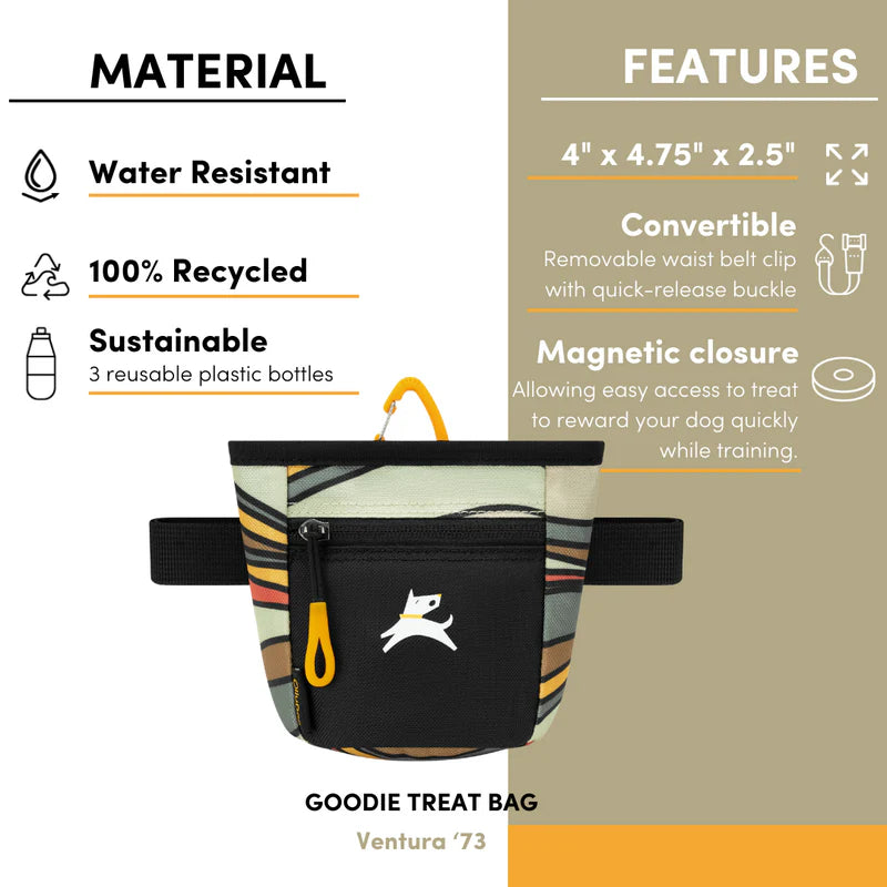 Goodie Treat Bag