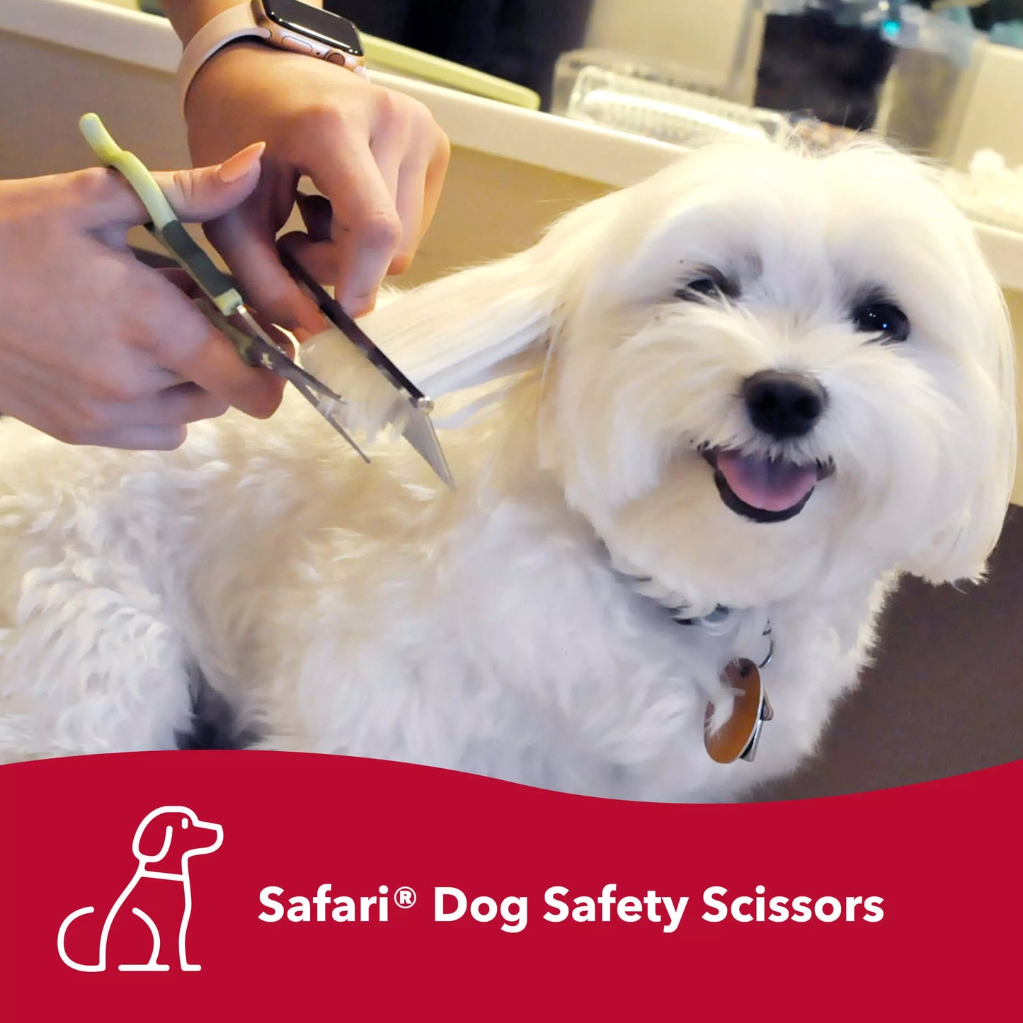 Safety Scissors